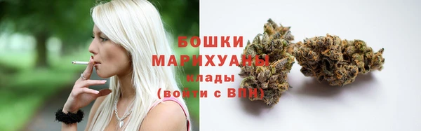 скорость Ельня