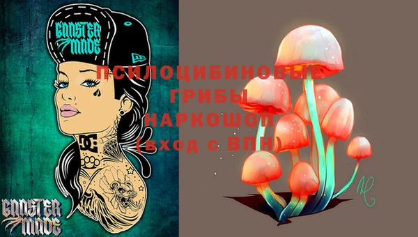 скорость Ельня